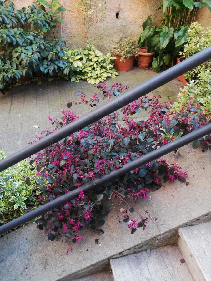 רומא Tra Gianicolo E Trastevere מראה חיצוני תמונה