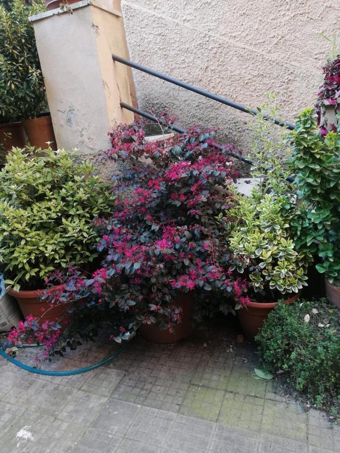 רומא Tra Gianicolo E Trastevere מראה חיצוני תמונה