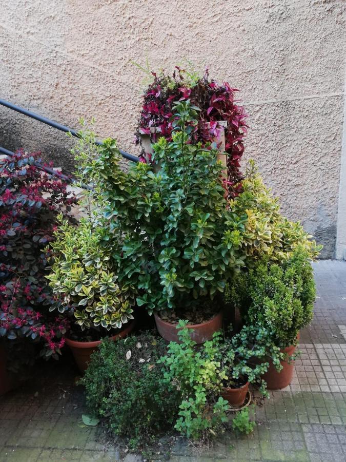 רומא Tra Gianicolo E Trastevere מראה חיצוני תמונה