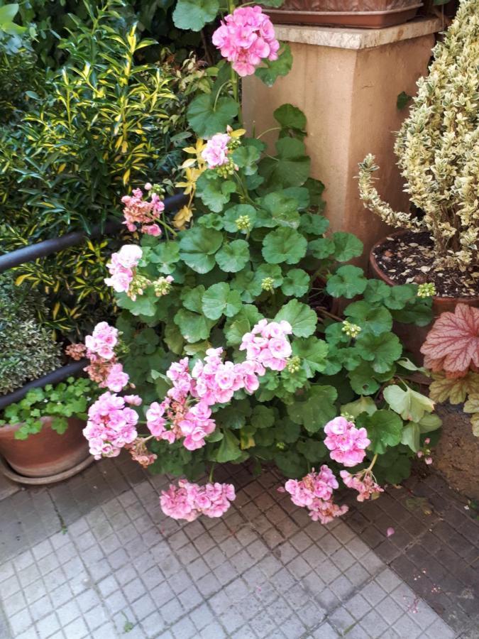 רומא Tra Gianicolo E Trastevere מראה חיצוני תמונה