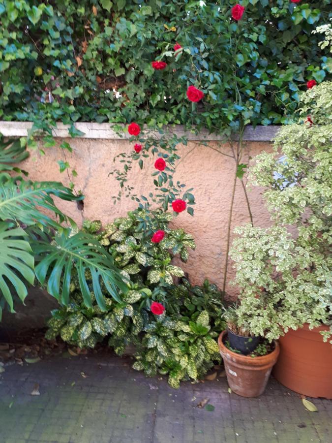 רומא Tra Gianicolo E Trastevere מראה חיצוני תמונה